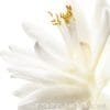 Dior, Jadore Eau de Toilette Spray, , Item# BLO14648