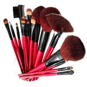 SHANY Professional 12 Piece Cosmetic Brush Set with Pouch, Red, Item# BLO17104